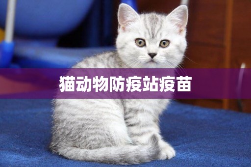 猫动物防疫站疫苗